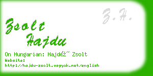 zsolt hajdu business card